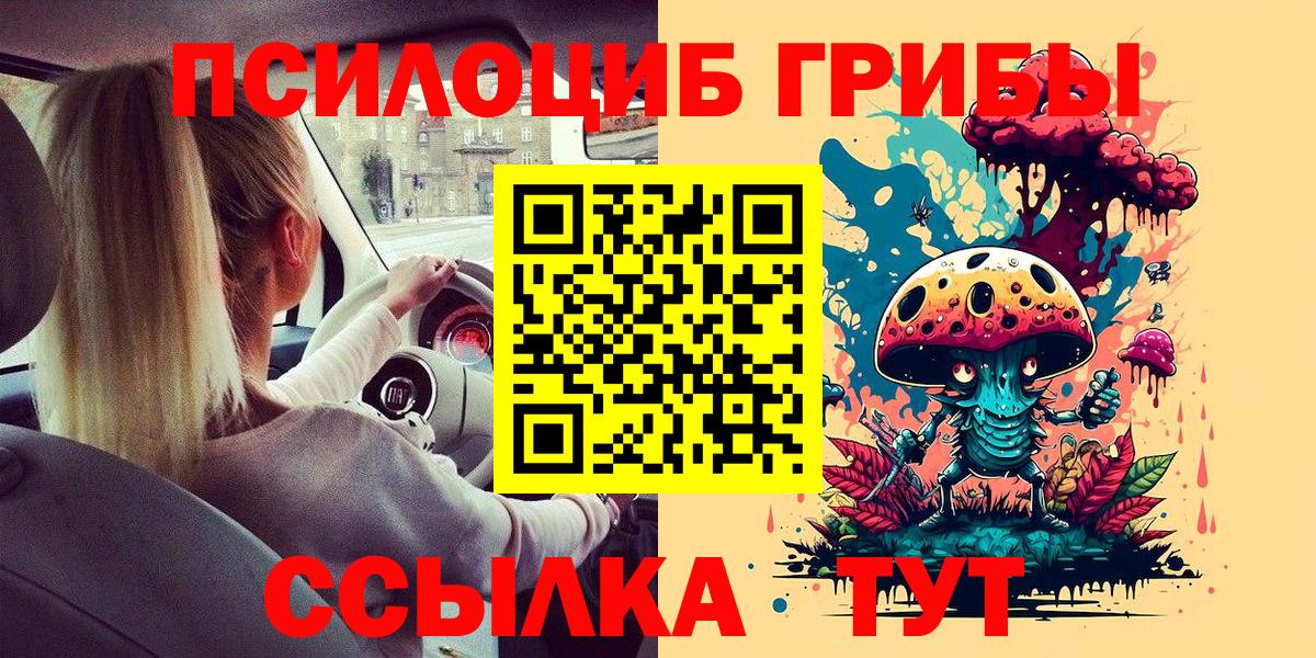 наркота  Вход с VPN  Отрадный  Галлюциногенные грибы Cubensis 